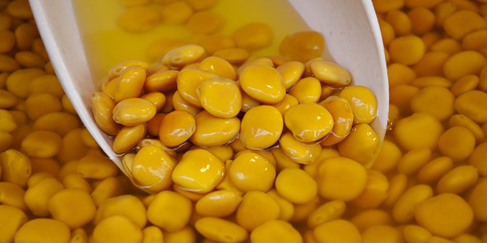 Καλλιέργεια_Λουπινο 03_