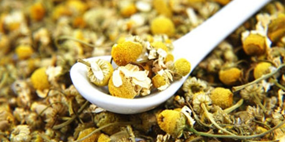 Καλλιέργεια_Χαμομηλιού 02_